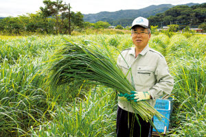収穫したてのレモングラスと筆者（64歳）。レモングラスは8 ～ 11月にかけて収穫し、クラフト素材のほか、ハーブティー、 ドライハーブとしても販売する（写真はすべて江平龍宣撮影）