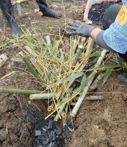 溝や穴には炭と竹がたくさん使われる。使い道もなくて厄介な枝葉も有効活用される