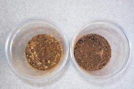 粒が大小あって不均一な床土 粒が小さく比較的均一な床土