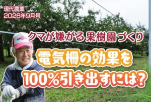 クマ対策