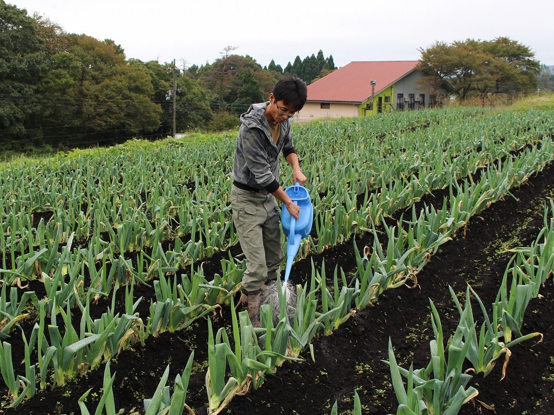 『農家が教える 鉄のミネラル力』を試し読み「火山灰土の高原圃場で、糖度17度のスイカ」 - 現代農業WEB