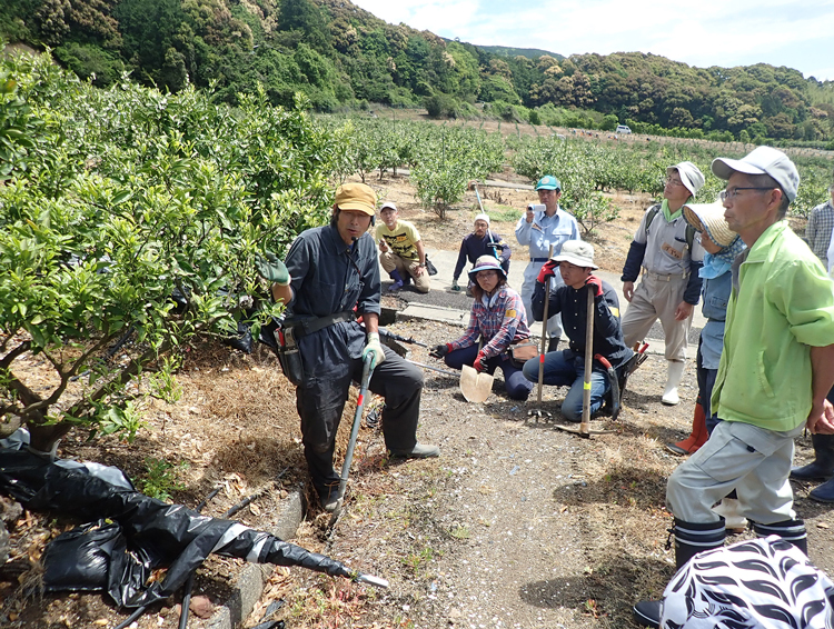 ミカン農園で解説する矢野智徳氏。参加者に若い人や女性が多いのも「大地の再生講座」の特徴