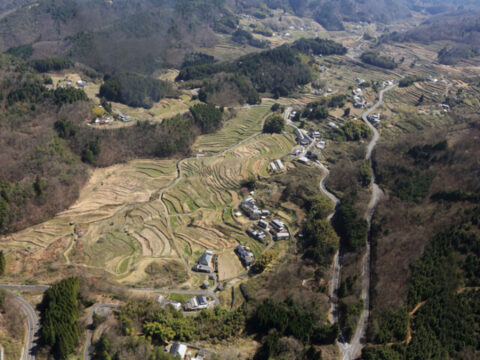 筆者が住む上山集落。草刈りと野焼きによって再生した棚田が広がる。さまざまな植物が息づく棚田のむらは薬草の宝庫でもあった