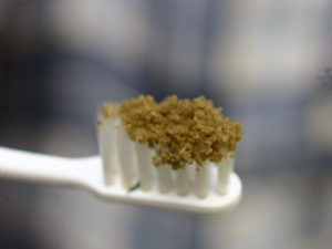 ハコベから作ったハコベ塩で歯を磨ぐ。薬草の力で口の中の悩みもスッキリ解決