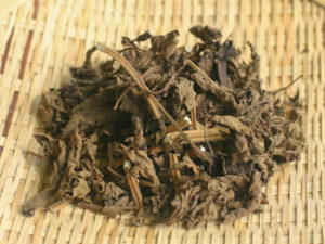 乾燥させたヒキオコシ。煎じて飲めば胃腸の不調も吹き飛ぶ