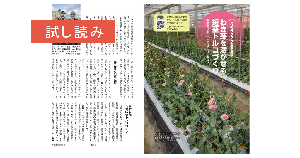 トルコギキョウをつくりこなす : 自生地に学ぶ高品質栽培 トルコギキョウをつくりこなす : 自生地に学ぶ高品質栽培