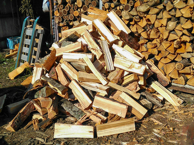 （写真14，15　30分ほど作業をしただけで、これぐらいの量の薪が作れる。このペースは驚異的で、例えば、この量を斧で割っていたら1日かかってしまうほど）