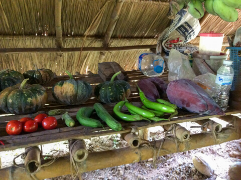 タイでの野菜保存