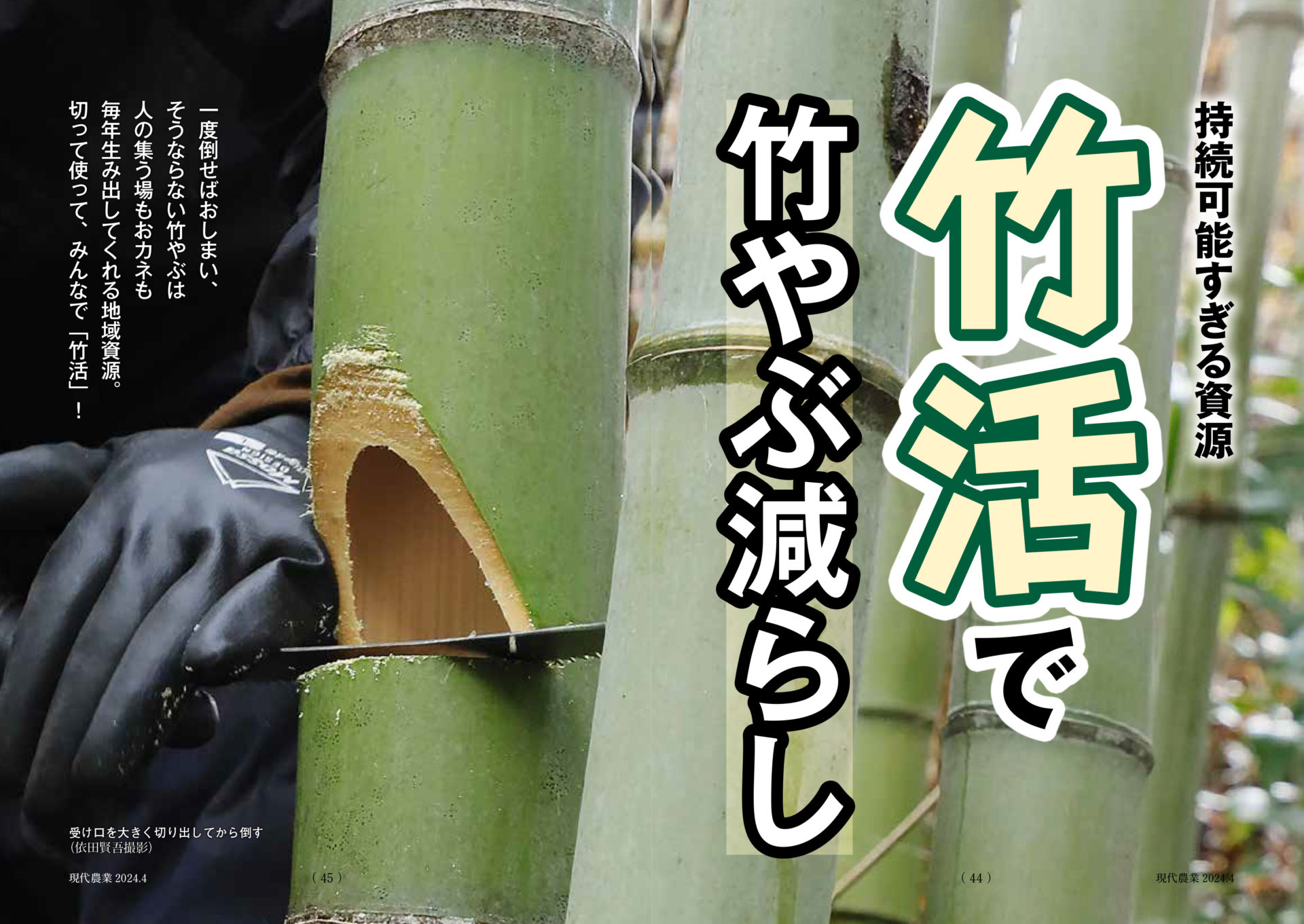 2024年4月号(特集 : 持続可能すぎる資源 竹活で竹やぶ減らし)の読み