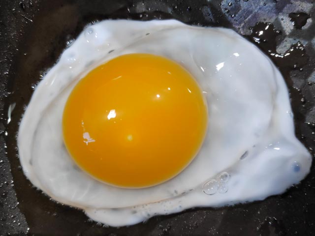 アイガモの卵は、黄身が占める割合が大きく、味も濃い。卵のサイズも産み始め以降、だんだんと大きくなっている。栄養価も高いとか