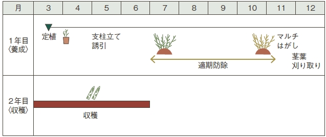 図1　「採りっきり栽培」の栽培暦