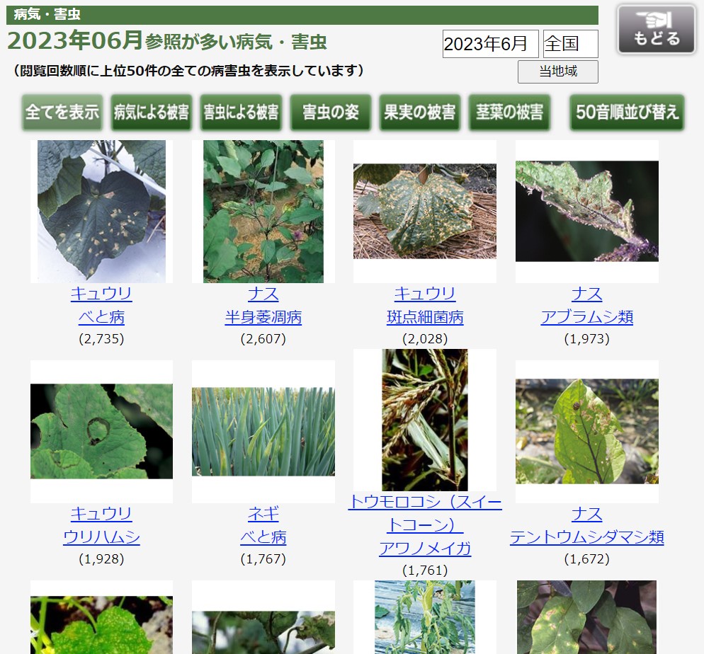 6月の病害虫ランキング - 現代農業WEB
