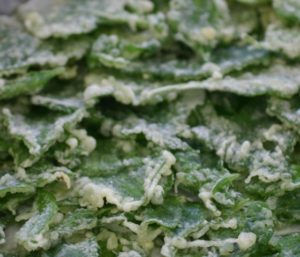 生葉の天ぷら。ほろ苦さと強い香りを楽しむ