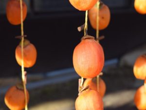 カキの実は生のまま食べても干し柿で食べても健康に役立つ（編）