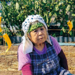 内藤まつ子さん（75歳）。30坪の庭で自家用野菜をつくる。『農家日記』使用歴は10年 来年また