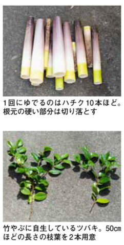 タケノコ