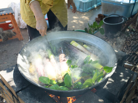 ツバキの枝葉を鍋に入れてハチクと一緒にゆでる（写真はすべて戸倉江里撮影）