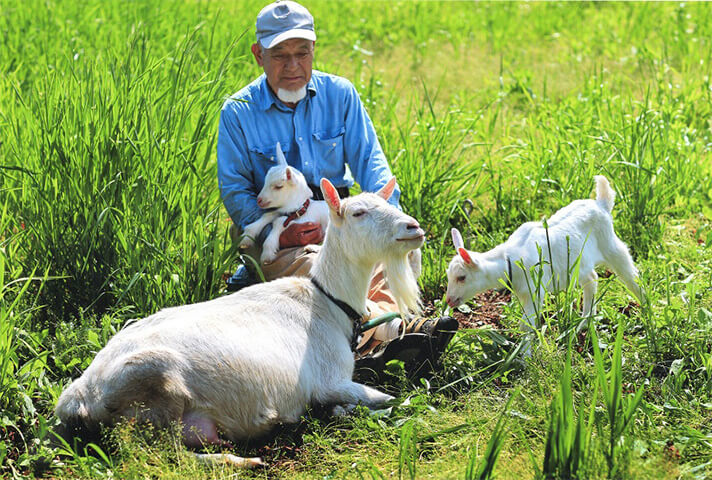母なずなと子ヤギたちと筆者