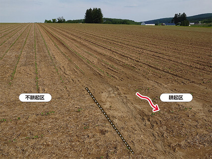 5haの試験圃場。ゲリラ豪雨翌日のようす。不耕起区は緑肥ダイコンの穴による透水効果もあって土壌流亡なし。耕起区は表土がけっこう流れた（6月12日）