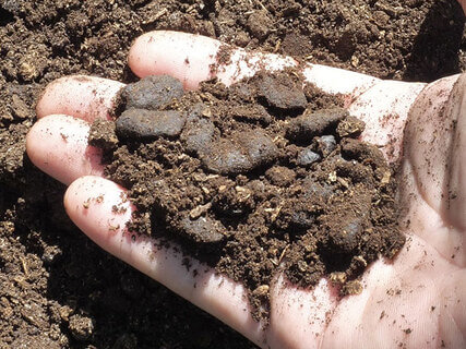 古いマット（廃菌床）と糞が混ざった「ヘラクレス堆肥」。糞は1cmほどのペレット状で排出される