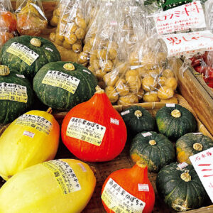 すべて固定種。写真のカボチャだけでも「東京栗かぼちゃ」「赤皮赤栗かぼちゃ」「そうめんカボチャ」など多品種