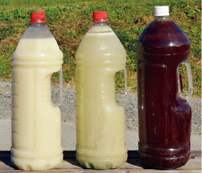 左から豆腐納豆液の原液、上澄み液、光合成細菌液