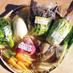 「季節の固定種やさい定期便」。旬の野菜をチョイスして通販。写真は、長崎県の在来種「長崎赤かぶ」や、原種に近くて味の濃いレタス「オークリーフレタス」など
