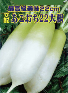 「晩抽あごおち22大根」のタネ袋。キャッチフレーズをつけて販売する