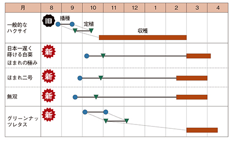 「日本一遅く蒔ける白菜」「ほまれの極み」「ほまれ二号」「無双」は暖地で一般的に難しい9月下旬以降に播ける。「グリーンナッツレタス」はハクサイのように調理できて、露地ハクサイでは不可能な11月上旬に播ける