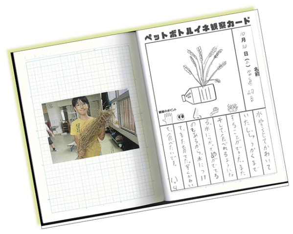 1位・當眞さん。クラスのみんなでチャレンジし、イラストで生育や栽培管理を記録した