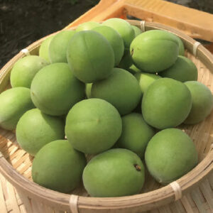 「白加賀」。果汁がたっぷり