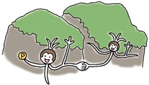 植物の祖先であるコケが陸上に上がった4億5000万年以 上前から、菌根菌が共生していた。植物が自前の根を進化 させるまでの1億年ほどの間、菌根菌が根の役割を果たし てきた