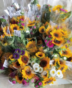 2024年の盆花用花束（品種は「サンリッチバレンシア50」）。ヒマワリはあまり開きすぎると、スリーブ内で花弁がとれる。2025年はもう少しタイミングを早めた