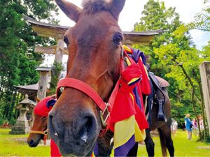 飾り手綱を付けた花恵山。各集落の神事に貸し出す