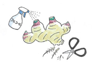 ①茎と根を切ってアルコールを少しスプレーする