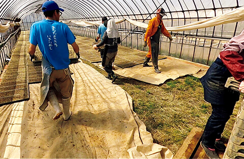 人海戦術での苗並べ。箱の持ち方や並べ方（外側から並べる）など、丁寧に指導する。スキマバイトで任せるのは主に単純作業だが、意外と楽しんでやってくれる