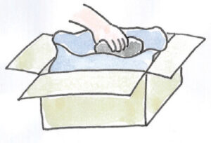 ポリ袋を敷いた段ボール箱に入れる（上部に2～3cmの空間を残す）