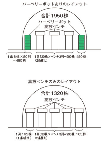 ハーベリーポット