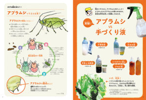 手づくり液を実際にアブラムシに吹きかけてみた実験結果を紹介。そのほか、畑に花を植えて天敵を増やす工夫、夜行性害虫の見つけ方と防ぎ方、畑の虫図鑑など。