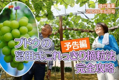 元記事：2026年5月号「縦横に入るチェーン除草が強烈に効く」