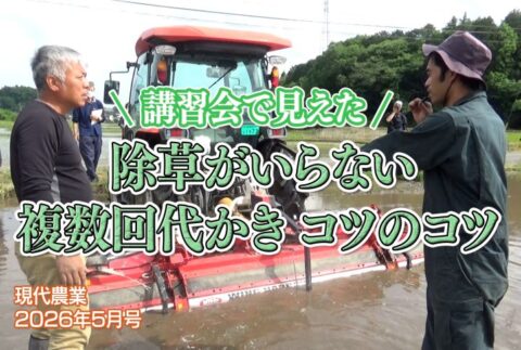 除草がいらない複数回代かき