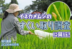 イネカメムシのすくい取り調査に同行！