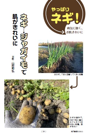 ネギ→ジャガイモで肌がきれいに