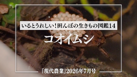サムネ
