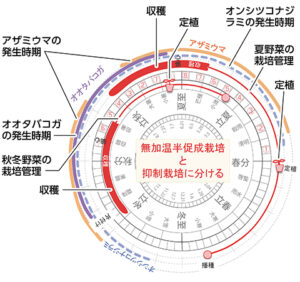 地球