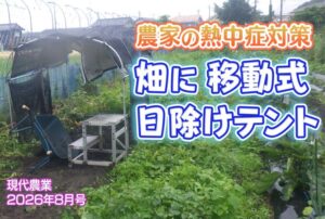 ビデオ