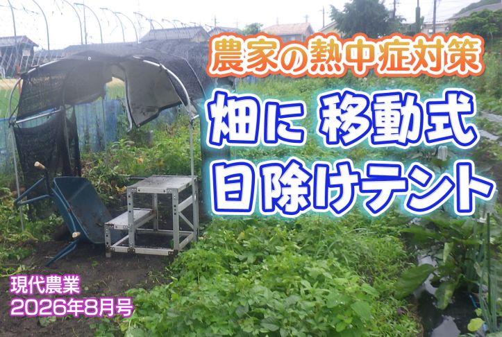 ビデオ