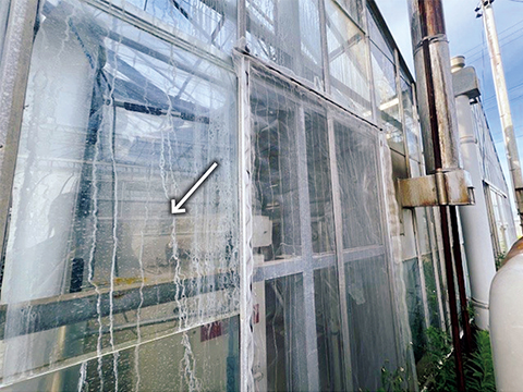 ハウスの外から見た外気の取り込み口（矢印）。虫が入らないように防虫ネットで被う（S）