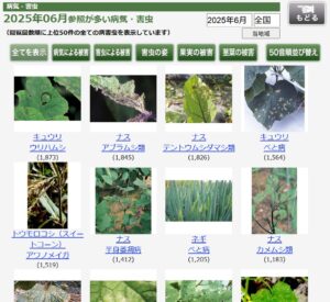 病害虫ランキング