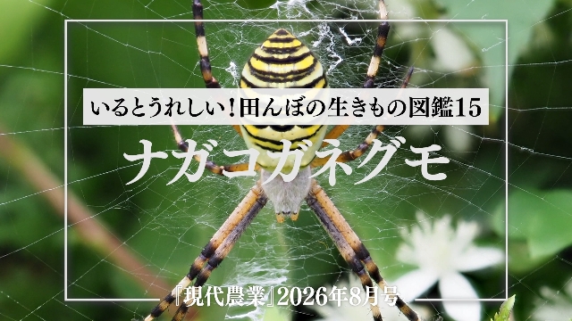 8月号